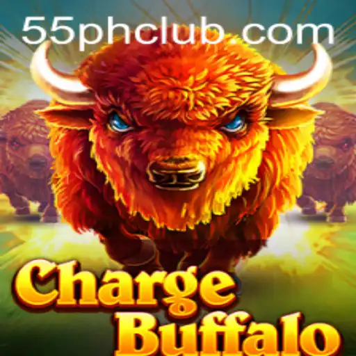 Exploring ChargeBuffalo: A New Adventure